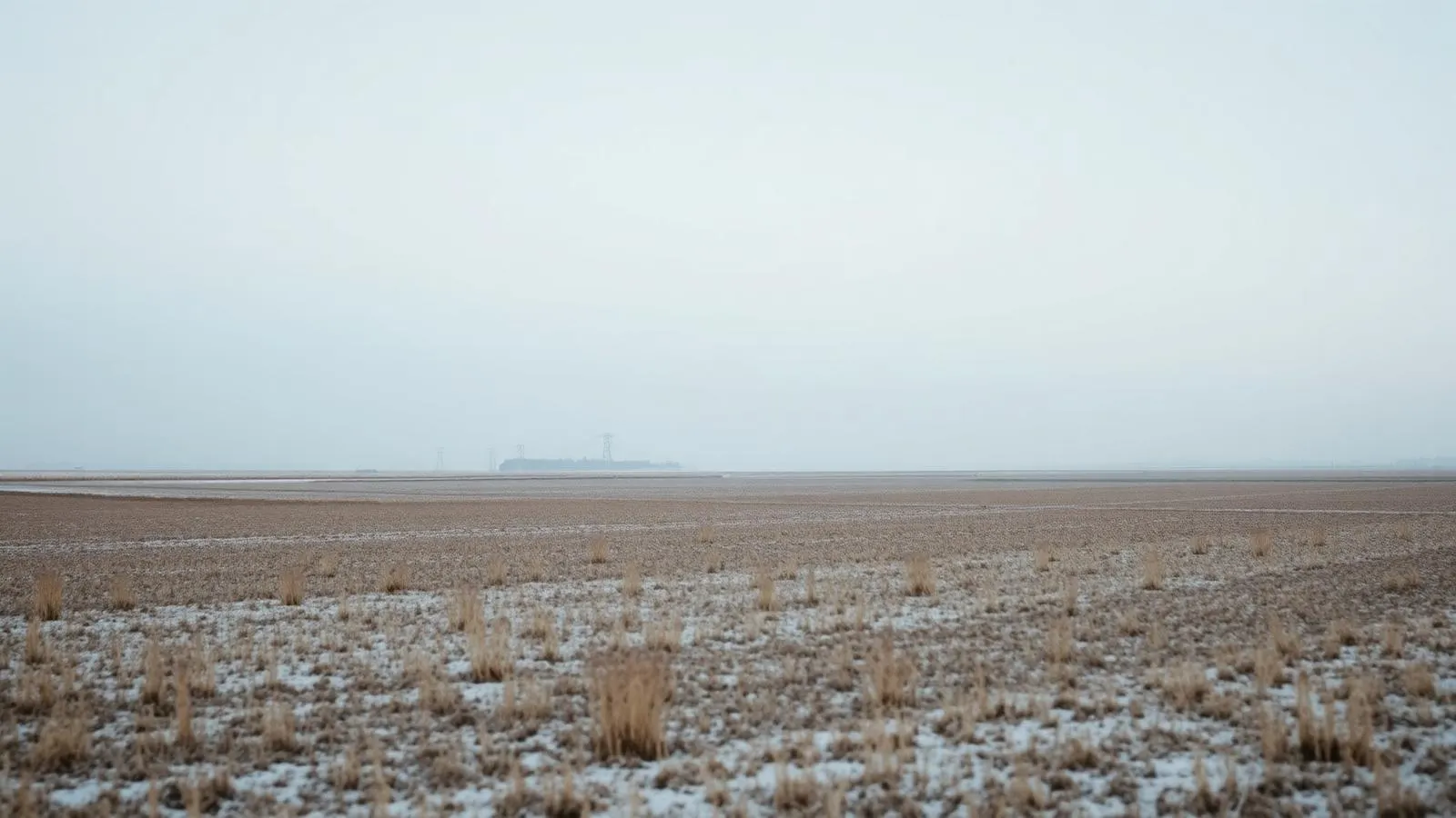 Nederlandse winter: kale windrijke polder onder een fletse hemel, lichte vorst, geen sneeuw
