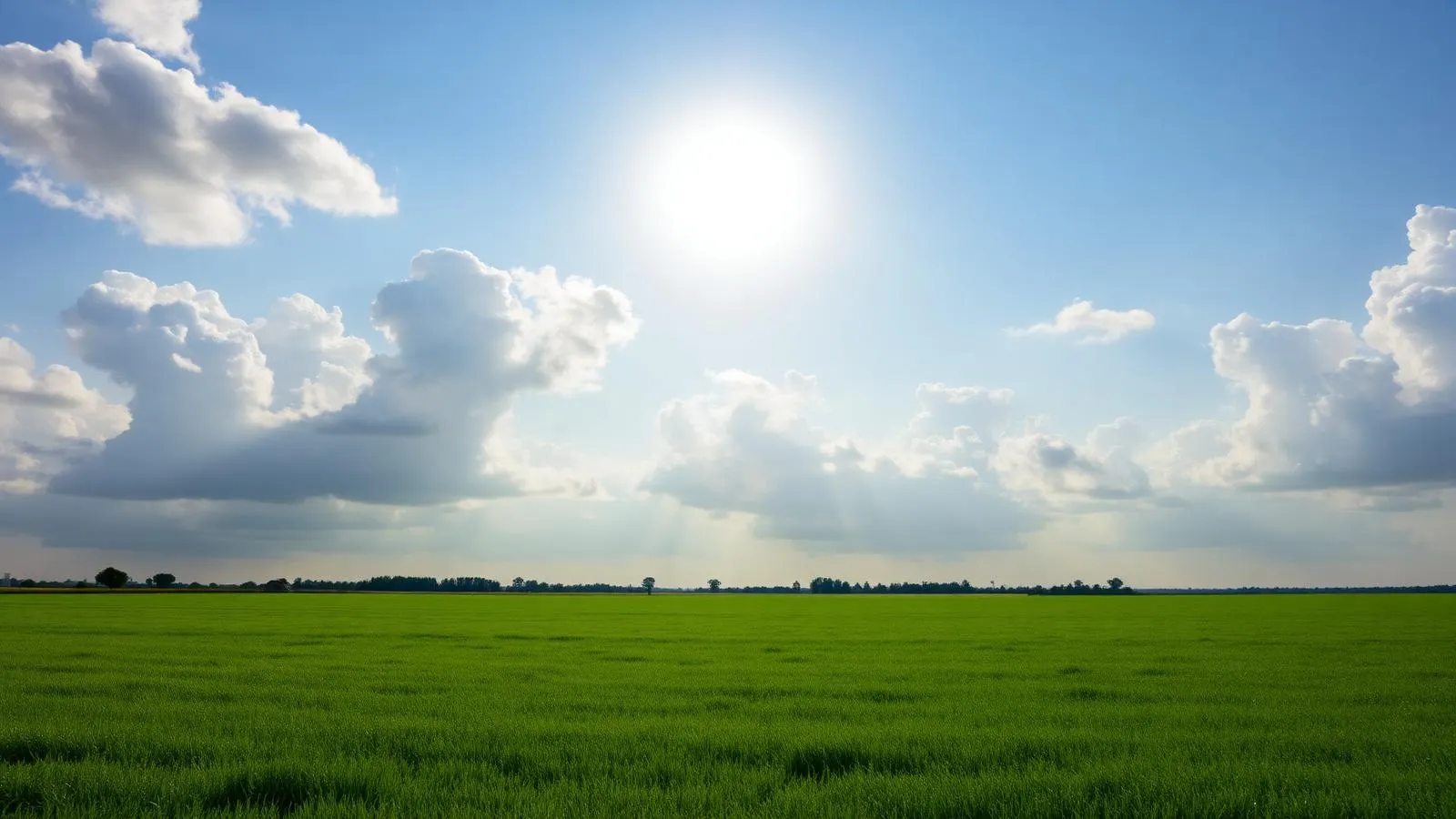 Nederlandse zomer: zon boven een wijde groene polder met stapelwolken