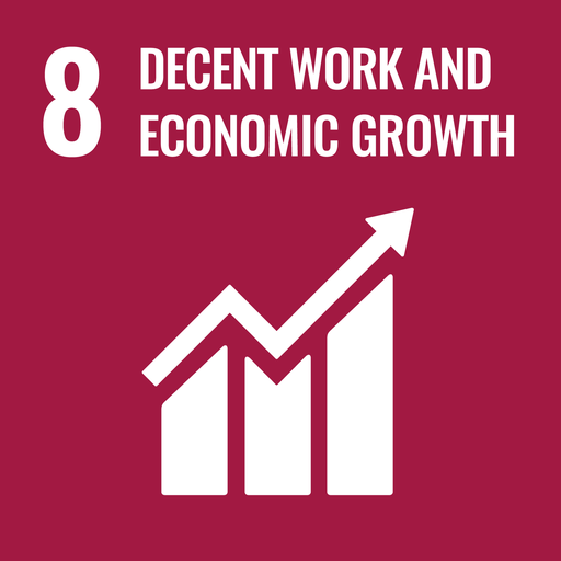 SDG 8: Waardig werk en economische groei